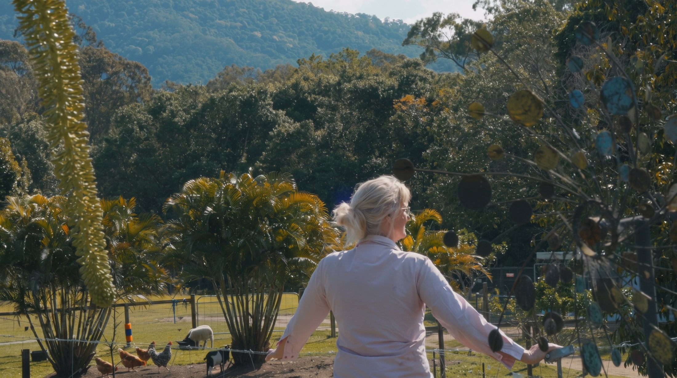 Free-range hens and goats grazing the paddock at City Chicks Farm and Cafe, Samford Valley near Mt Glorious Brisbane